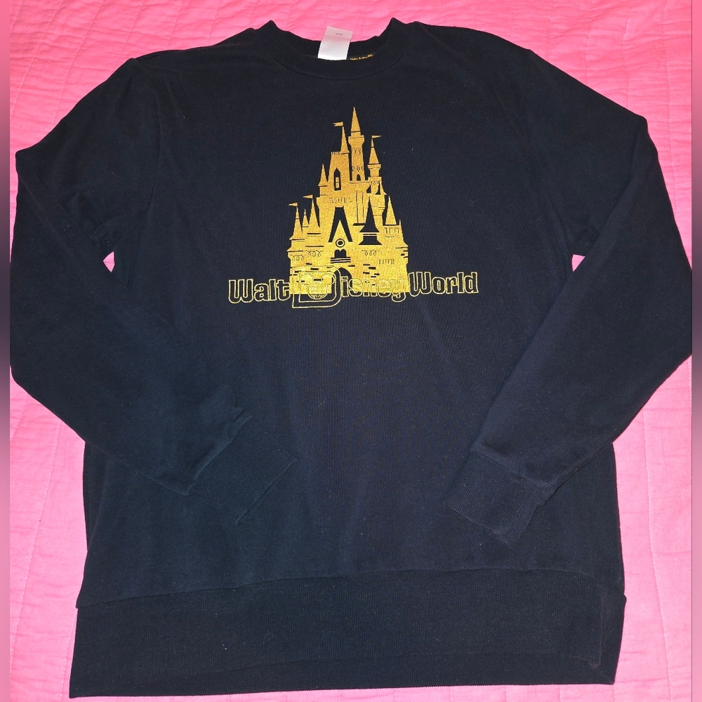 Disney World Castle sweatshirt